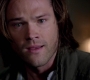 SPN_1382.jpg
