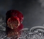 SPN_1436.jpg