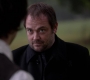SPN_1530.jpg
