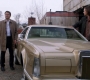 SPN_0723.jpg