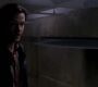 SPN_1037.jpg