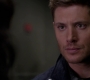 SPN_1079.jpg
