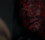 SPN_1167.jpg