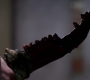 SPN_1287.jpg