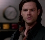 SPN_1684.jpg