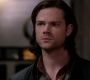 SPN_1695.jpg