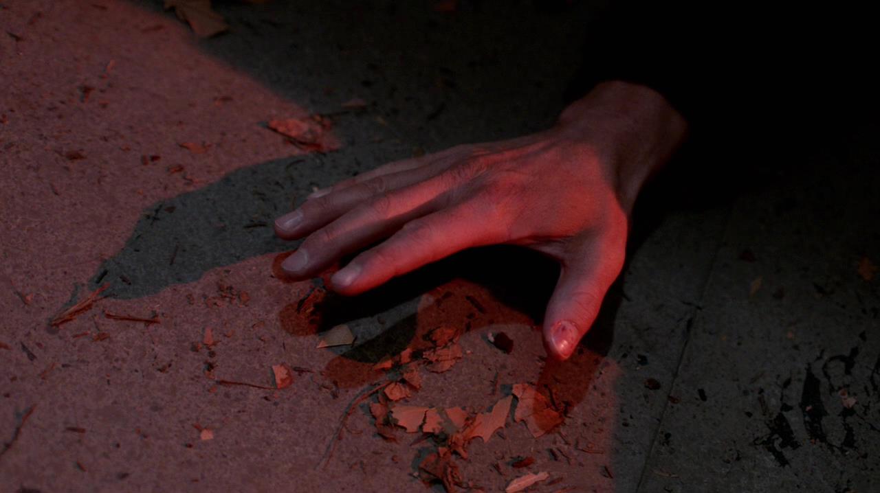 SPN_1354.jpg