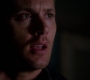 SPN_0290.jpg