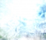 SPN_0739.jpg