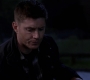 SPN_0981.jpg