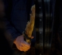 SPN_1204.jpg