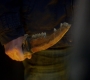 SPN_1216.jpg