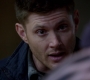 SPN_1223.jpg