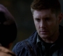 SPN_1231.jpg