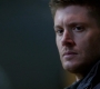 SPN_1238.jpg