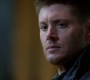 SPN_1239.jpg