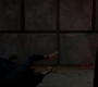 SPN_1254.jpg