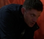 SPN_1263.jpg