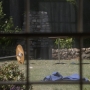 Filename=0367.jpg
Filesize=246KiB
Dimensions=1920x1080
Date added=Oct 22, 2022 0367.jpg