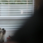 Filename=0144.jpg
Filesize=135KiB
Dimensions=1920x1080
Date added=Oct 22, 2022 0144.jpg
