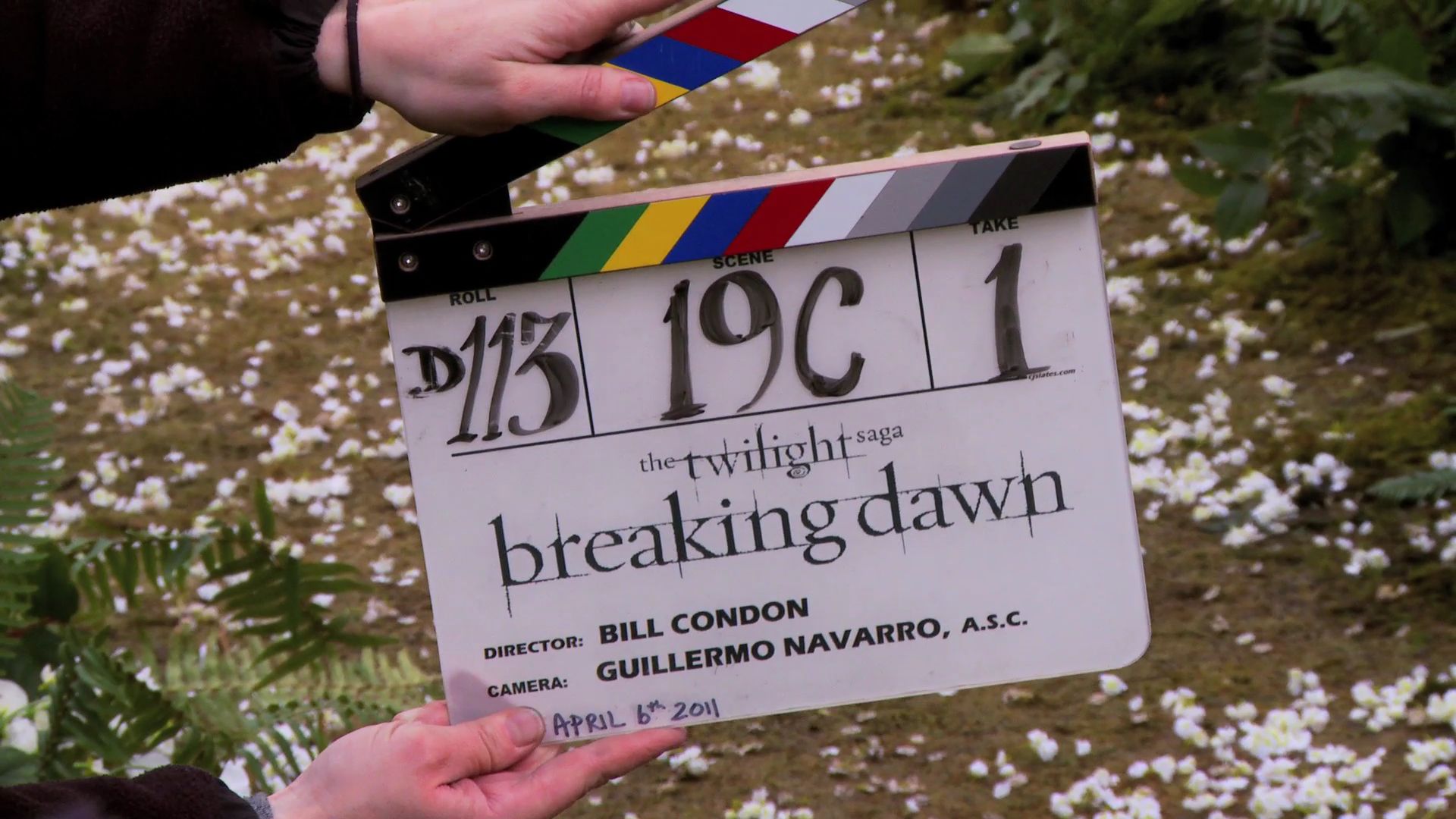 BDPt1FtBeginningEnd0062.jpg
