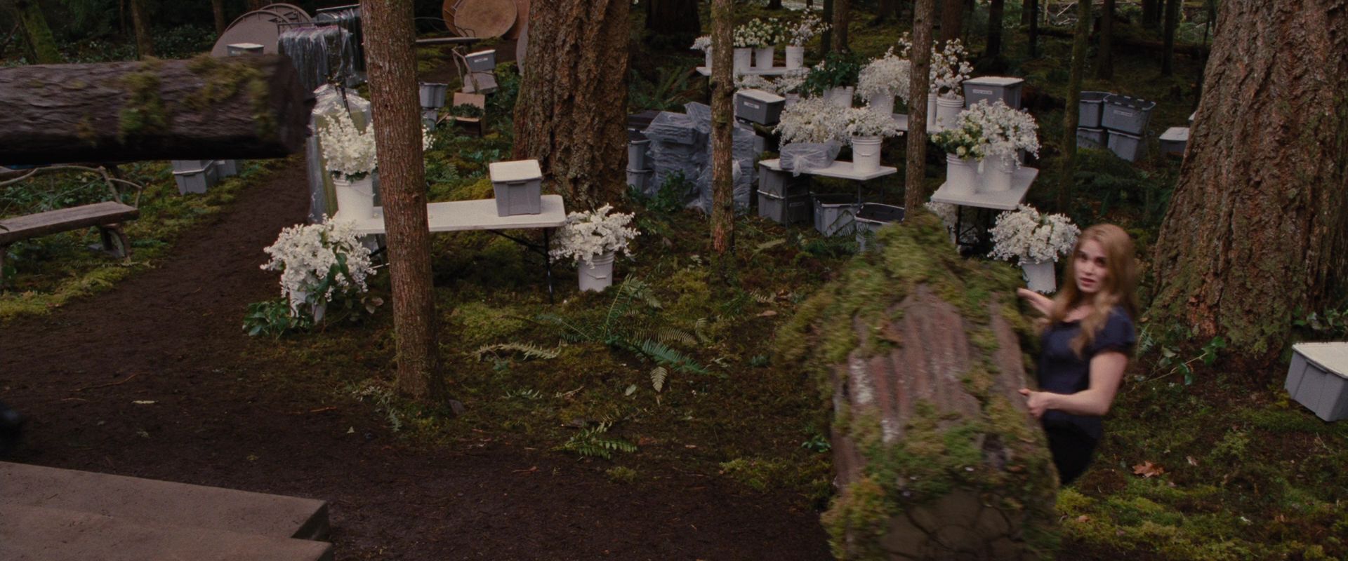 BreakingDawnPt1-0074.jpg