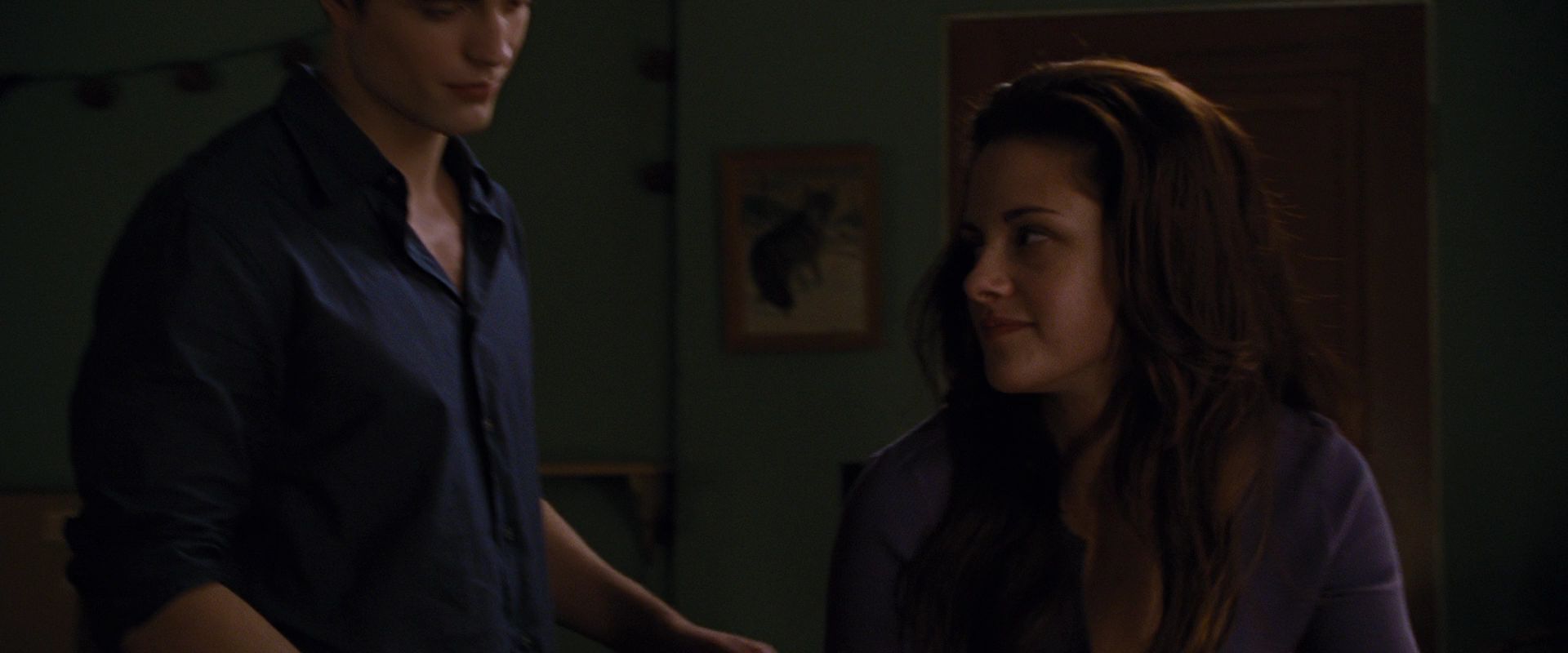 BreakingDawnPt1-0123.jpg