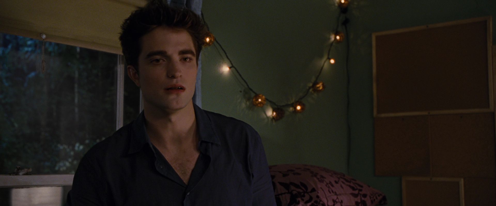 BreakingDawnPt1-0160.jpg