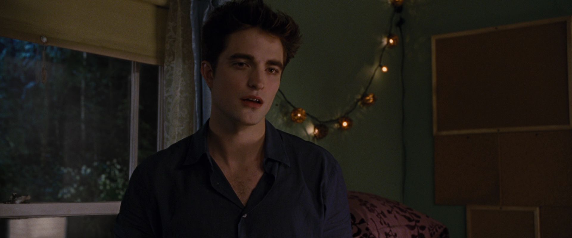 BreakingDawnPt1-0161.jpg