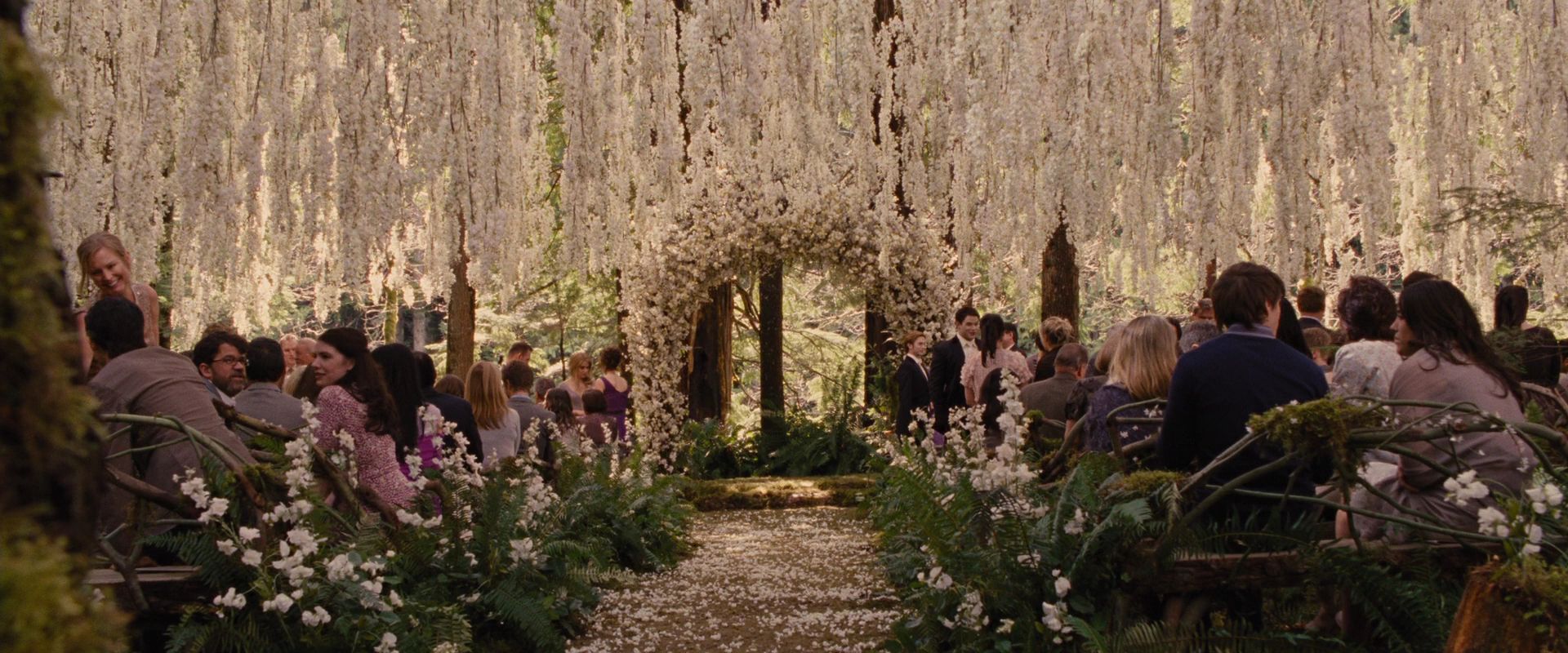 BreakingDawnPt1-0463.jpg