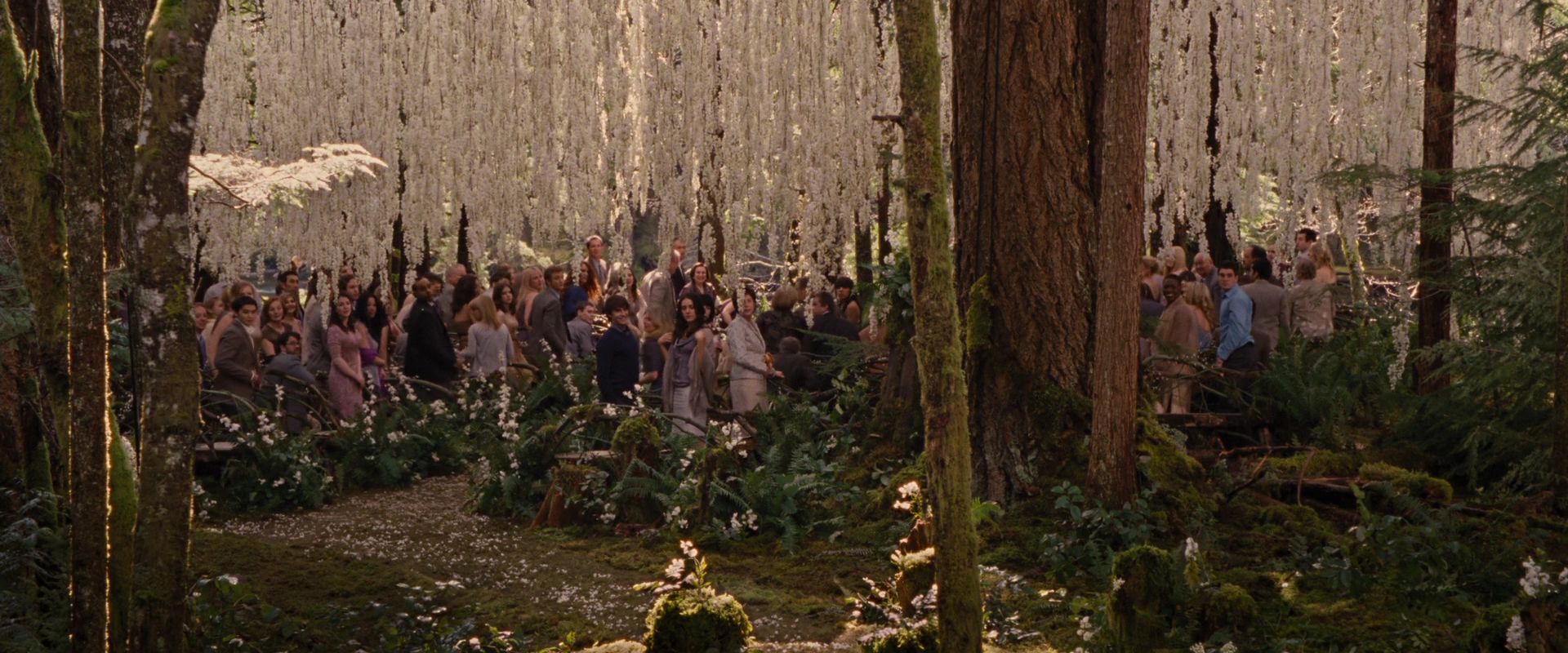 BreakingDawnPt1-0496.jpg