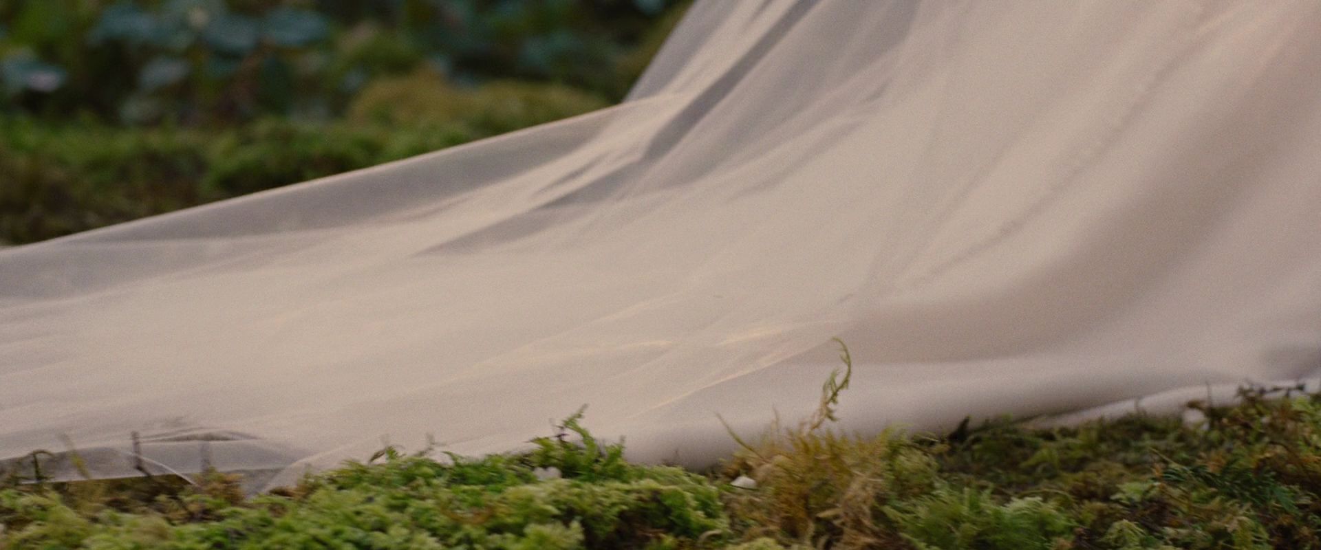 BreakingDawnPt1-0505.jpg