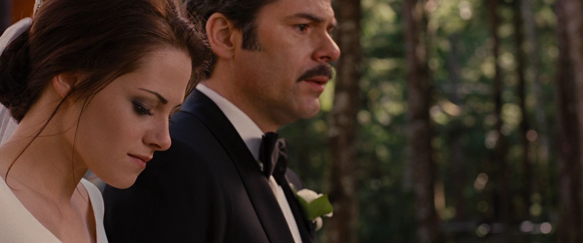 BreakingDawnPt1-0508.jpg