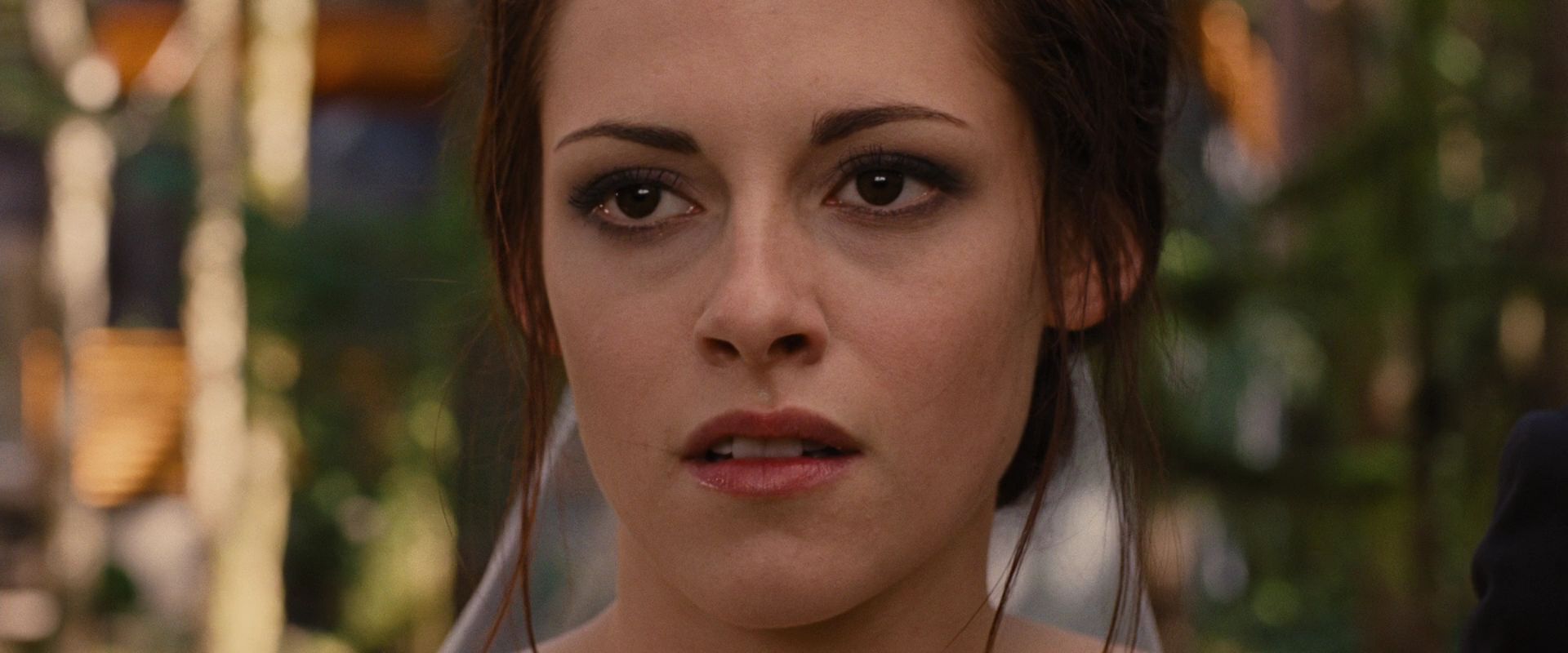 BreakingDawnPt1-0547.jpg