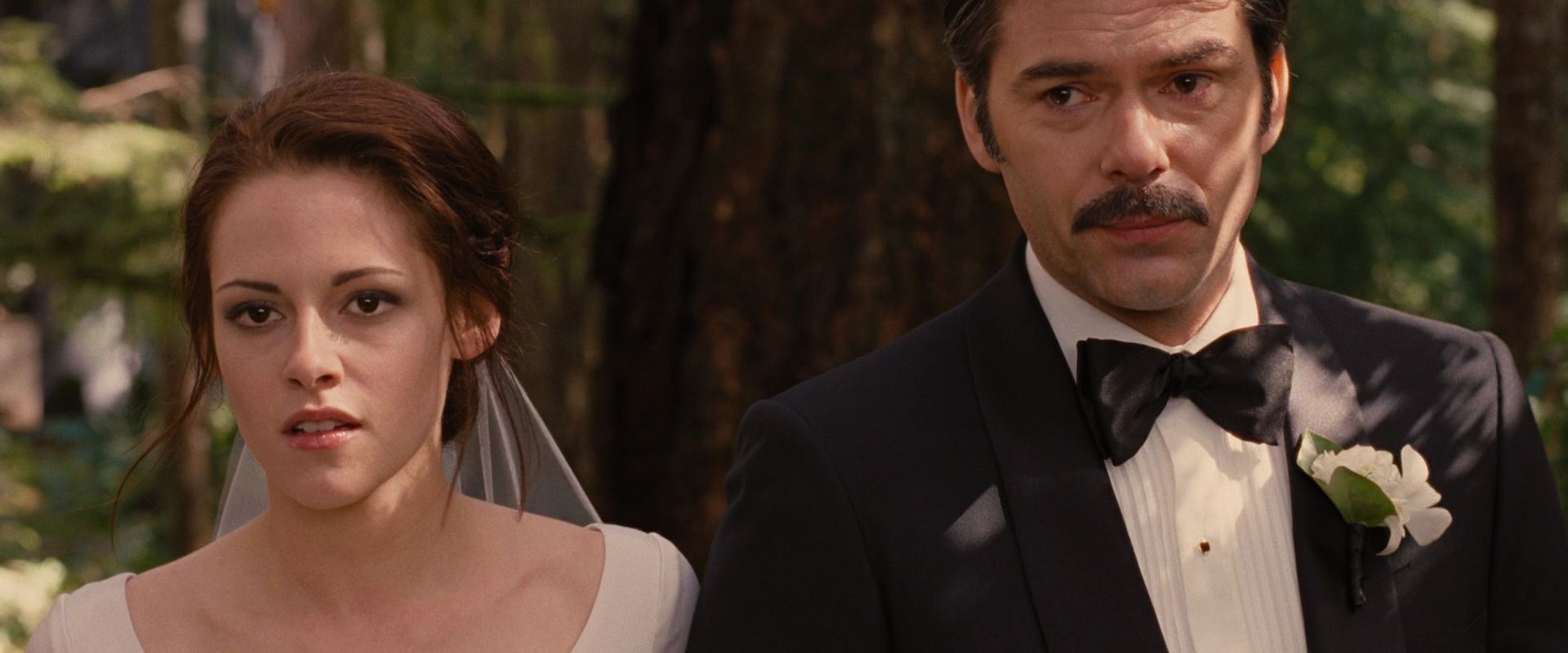 BreakingDawnPt1-0556.jpg