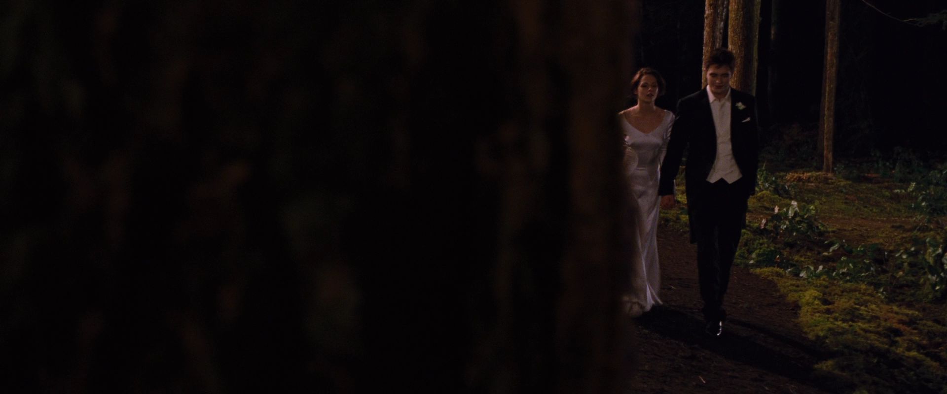 BreakingDawnPt1-0905.jpg
