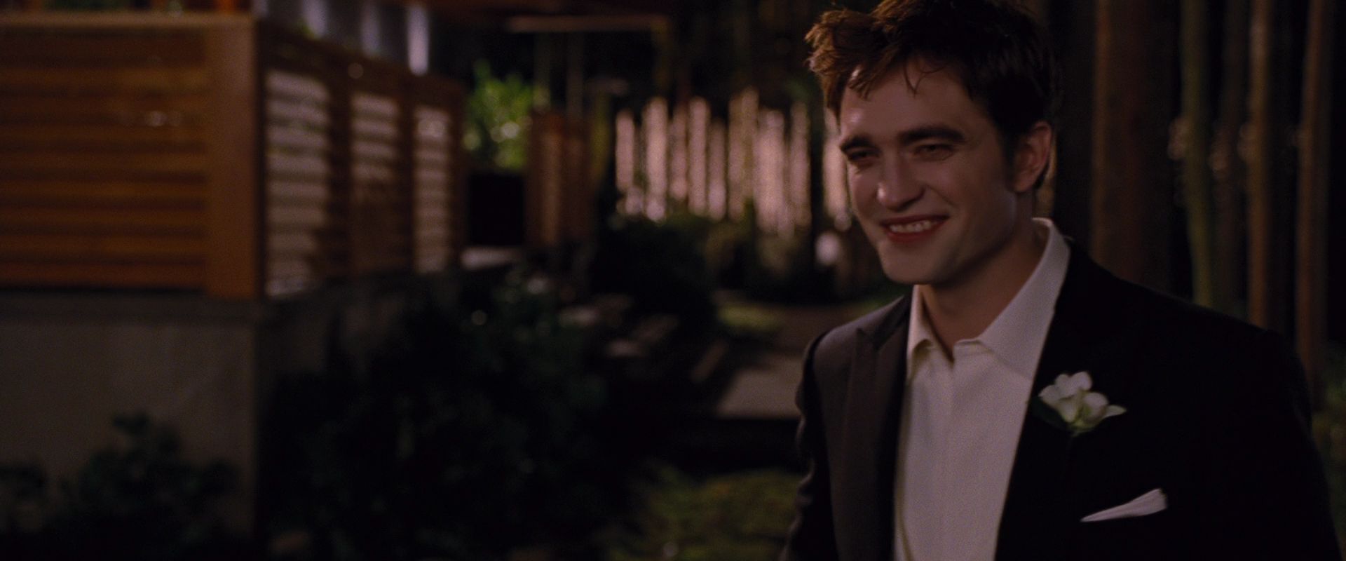 BreakingDawnPt1-0917.jpg
