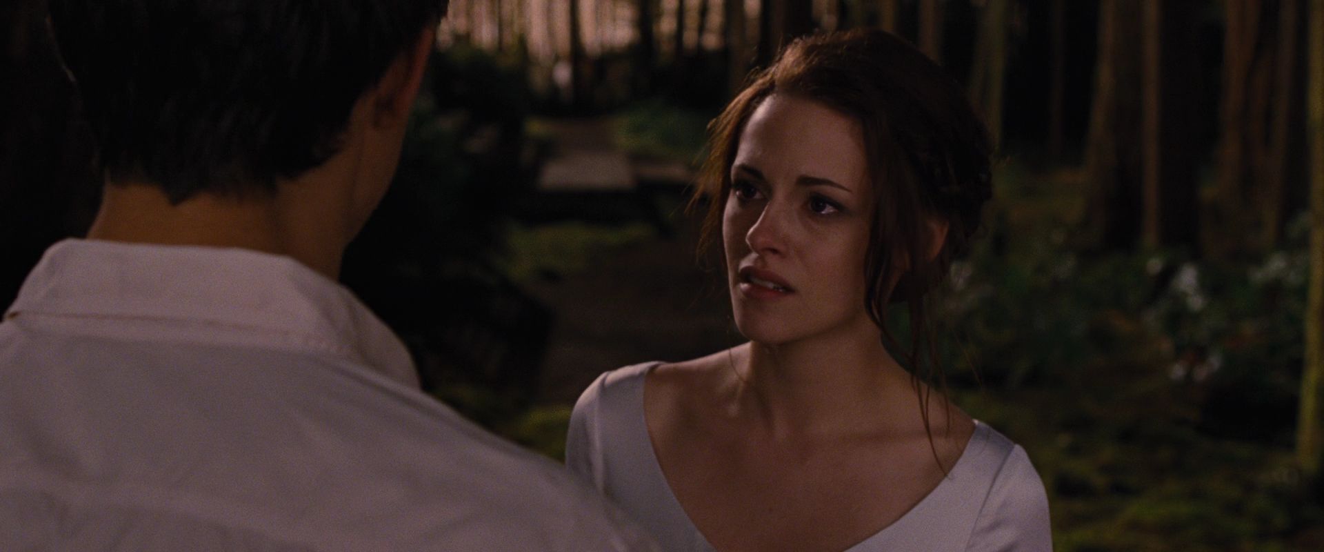 BreakingDawnPt1-1044.jpg