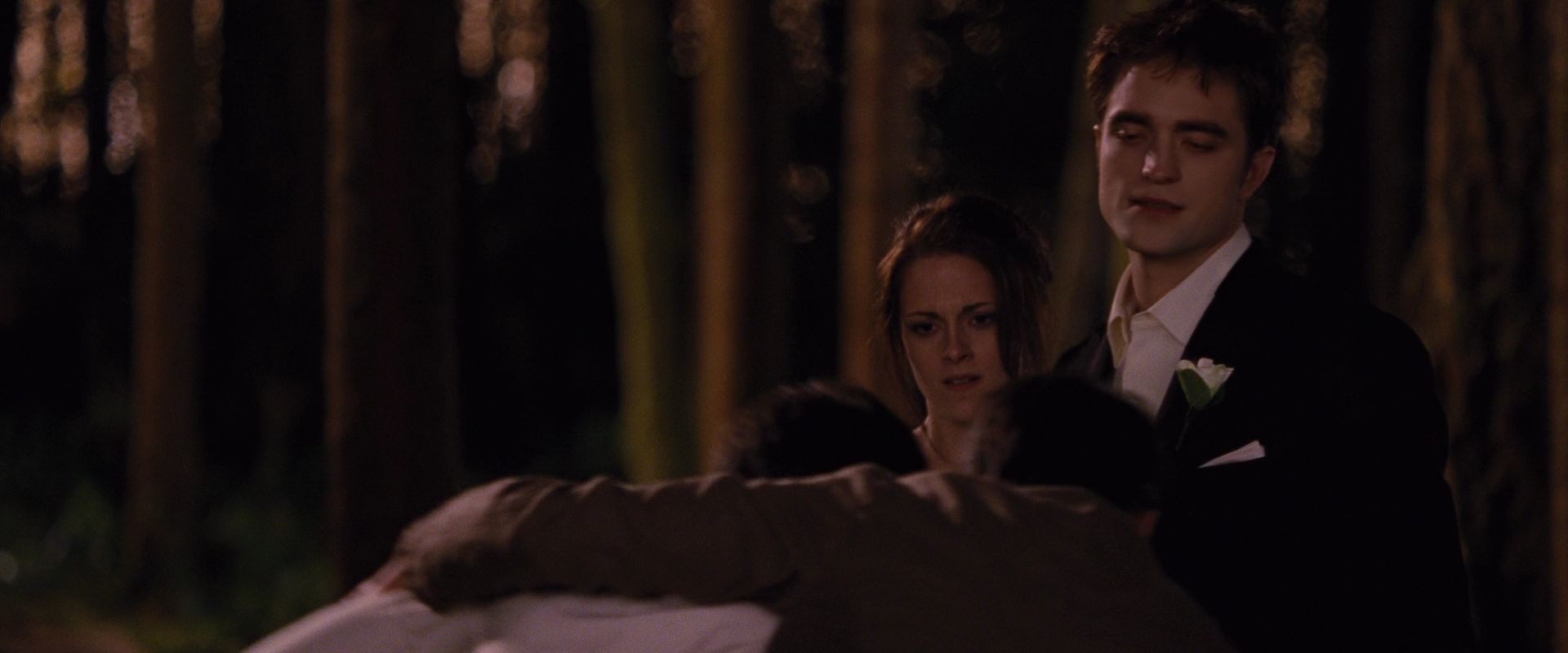 BreakingDawnPt1-1060.jpg