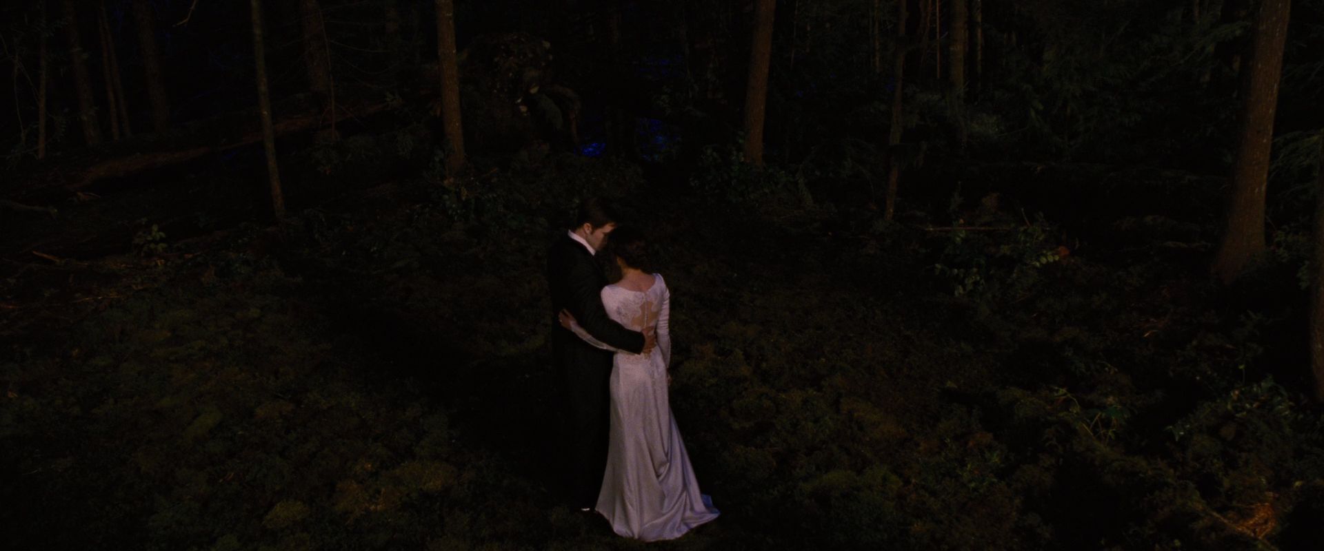 BreakingDawnPt1-1090.jpg