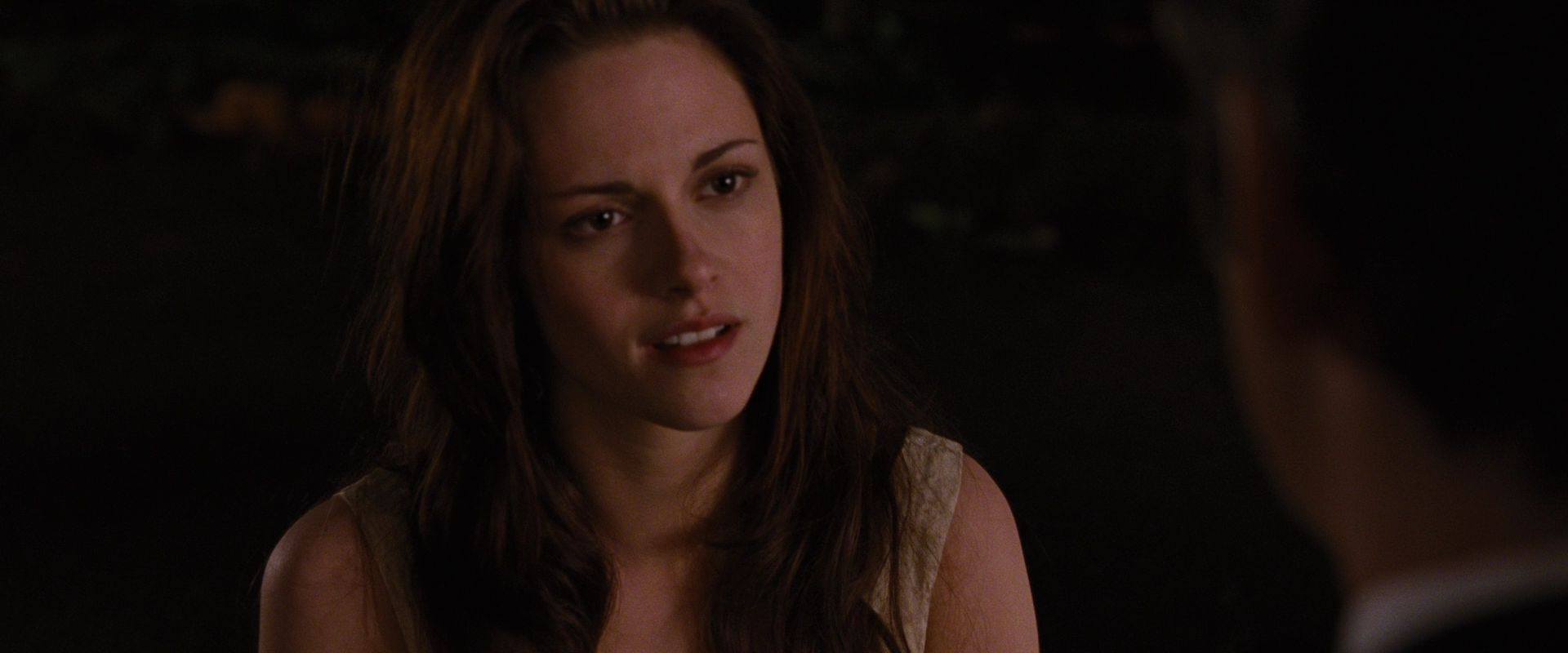 BreakingDawnPt1-1213.jpg