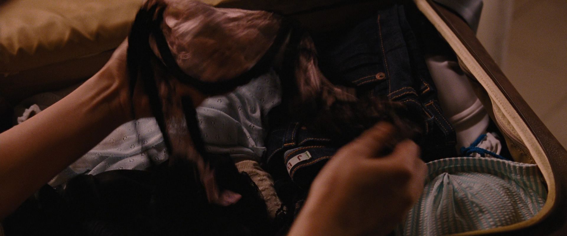 BreakingDawnPt1-1448.jpg