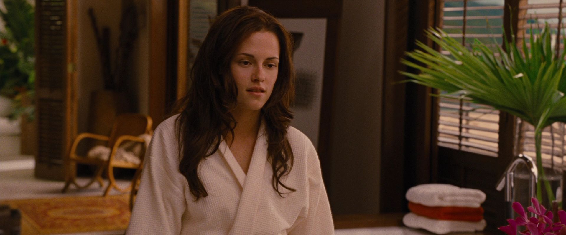 BreakingDawnPt1-1604.jpg