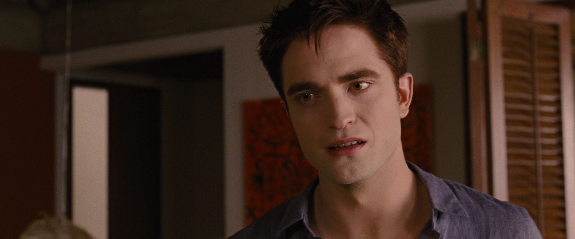 BreakingDawnPt1-2210.jpg