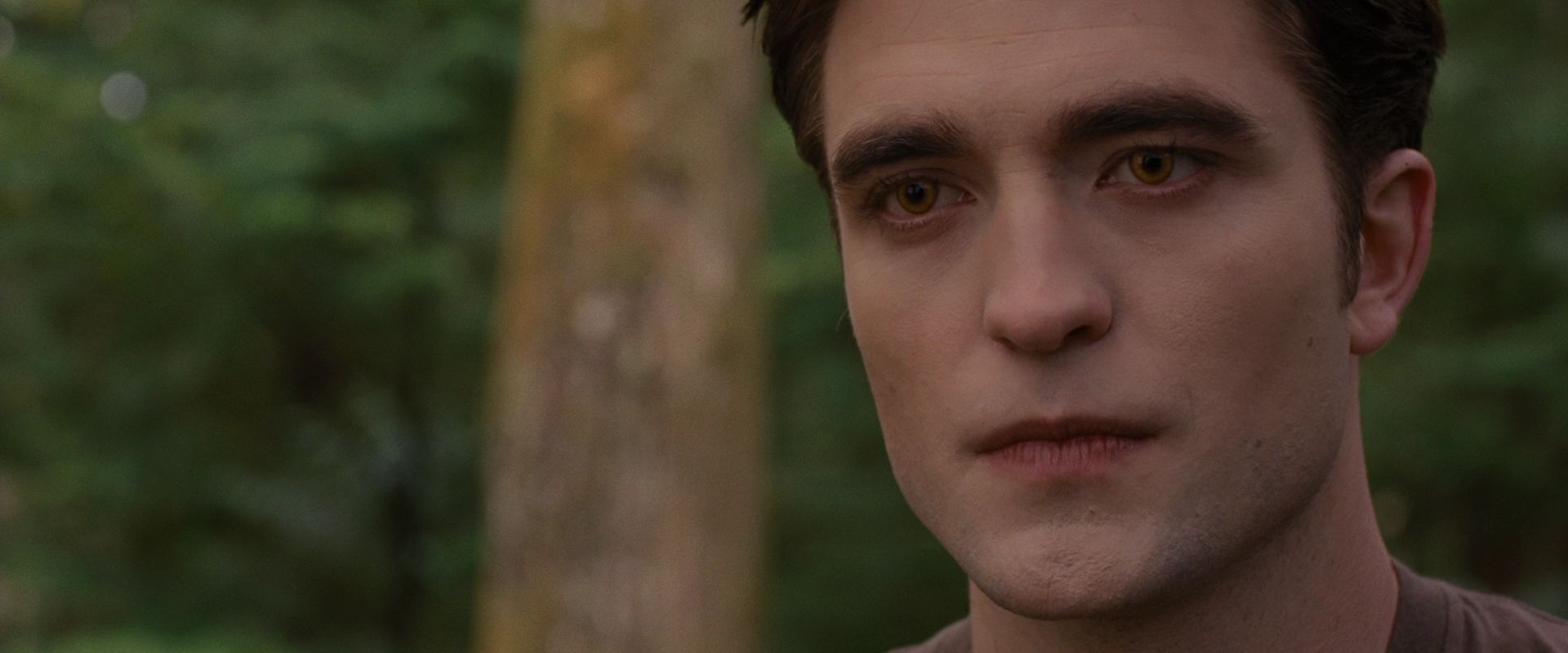 BreakingDawnPt1-2482.jpg