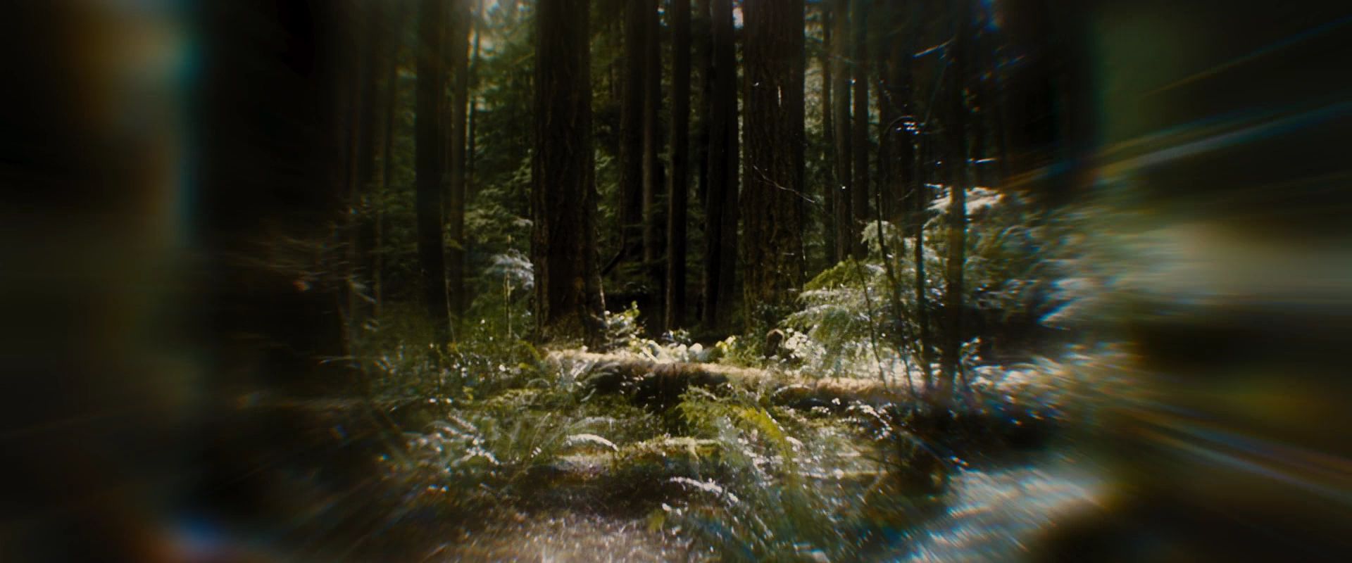 BreakingDawnPt1-2582.jpg
