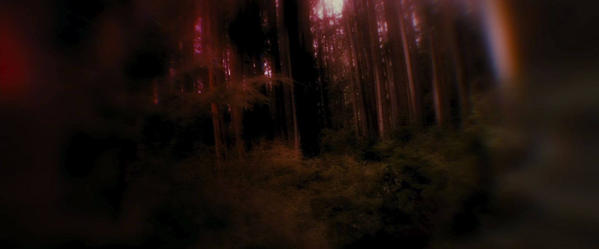 BreakingDawnPt1-2584.jpg