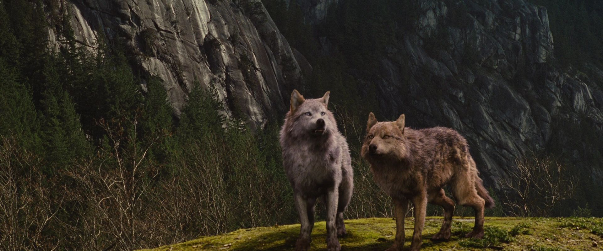 BreakingDawnPt1-2610.jpg