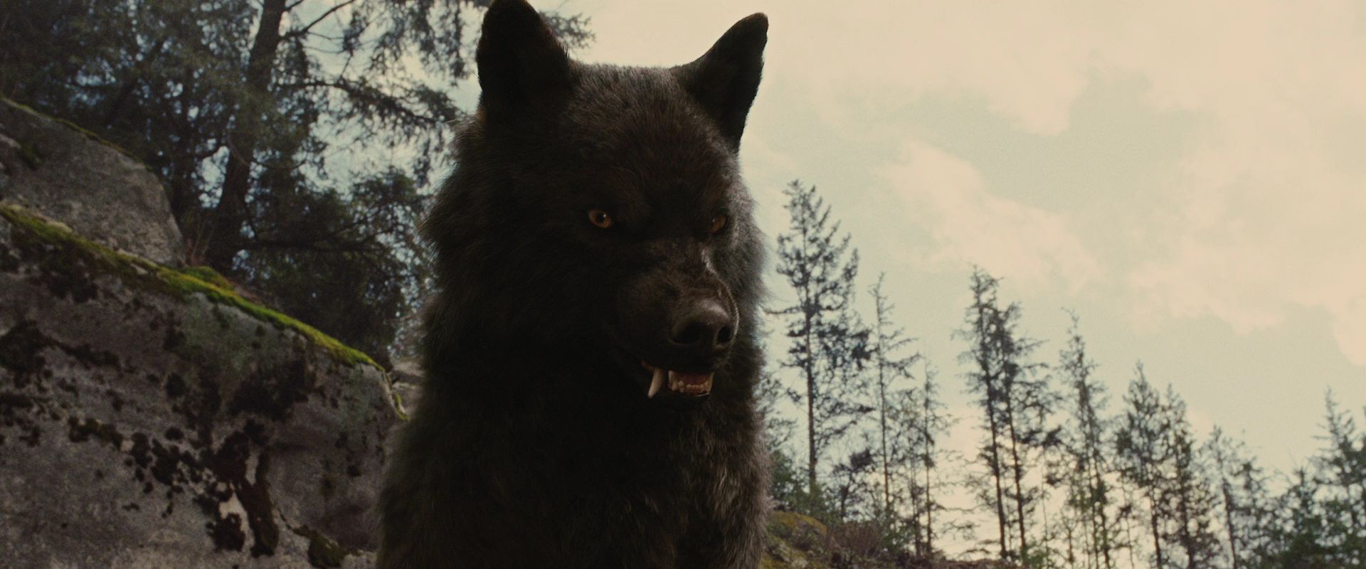 BreakingDawnPt1-2634.jpg