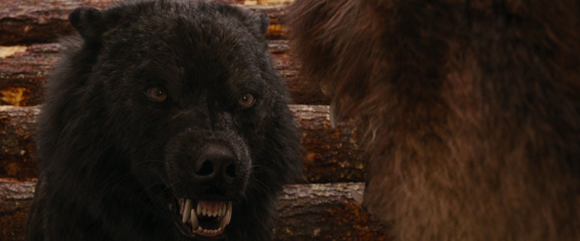 BreakingDawnPt1-2669.jpg